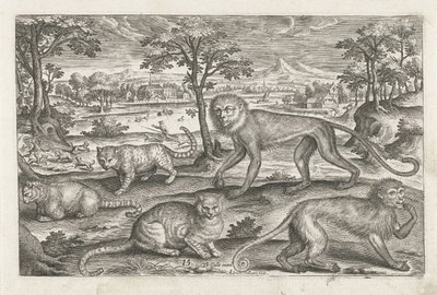 Affen und Katzen von Adriaen Collaert
