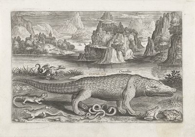 Einige Reptilien und Amphibien an einem Ufer (Fische, Piscivm vivae icones) von Adriaen Collaert