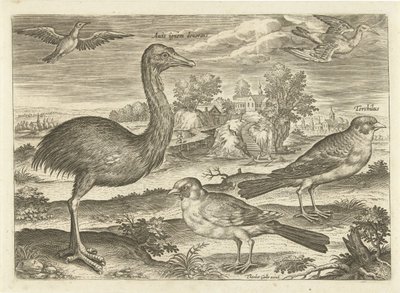 Enkele vogels in een landschap von Adriaen Collaert