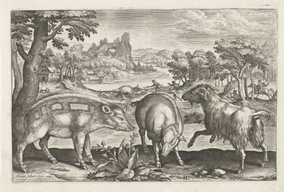 Ziege und Schweine von Adriaen Collaert