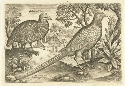 Twee hoenders in een landschap von Adriaen Collaert