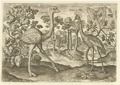 Zwei Laufvögel in einer Landschaft von Adriaen Collaert