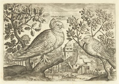 Zwei Vögel in einer Landschaft von Adriaen Collaert