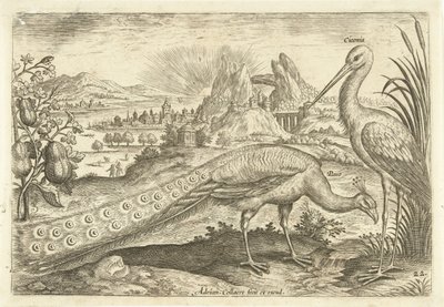 Zwei Vögel in einer Landschaft von Adriaen Collaert