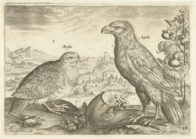 Zwei Vögel in einer Landschaft (Avivm Vivae) (Vögel) von Adriaen Collaert