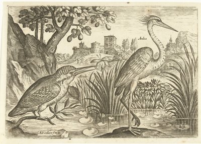 Zwei Vögel in einer Landschaft von Adriaen Collaert