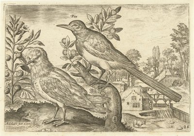 Zwei Vögel in einer Landschaft von Adriaen Collaert