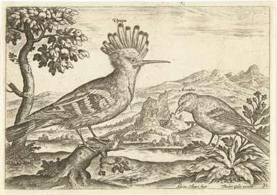 Zwei Vögel in einer Landschaft von Adriaen Collaert
