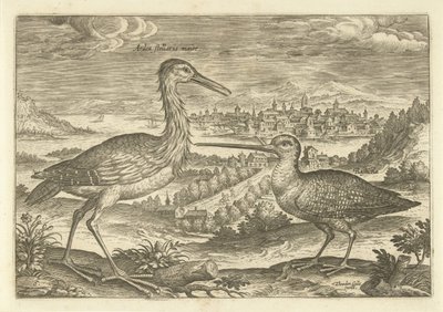 Zwei Vögel in einer Landschaft von Adriaen Collaert
