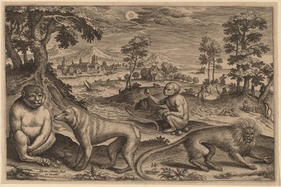 Zwei Affen und zwei Meerkatzen von Adriaen Collaert