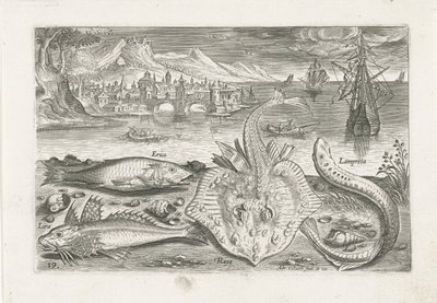 Vier Fische am Strand von Adriaen Collaert