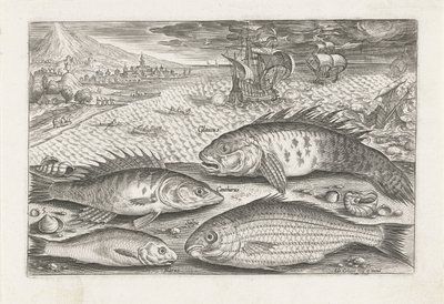 Vier Fische am Strand von Adriaen Collaert