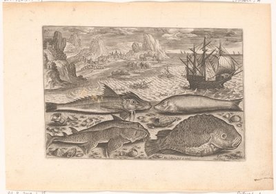 Vier Fische am Strand von Adriaen Collaert