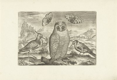 Vögel und Schmetterlinge in einer Landschaft von Adriaen Collaert