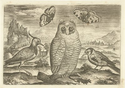 Vögel und Schmetterlinge in einer Landschaft von Adriaen Collaert