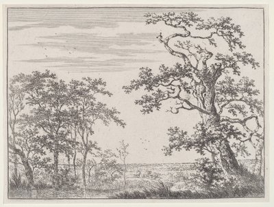 Landschaft mit einem Bach und einem alten Baum von Adriaen Hendricks Verboom
