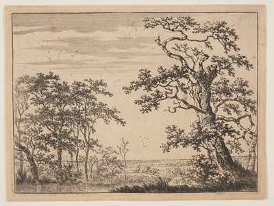 Der Teich von Adriaen Hendricksz. Verboom
