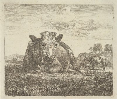 Liegende Kuh, aus Verschiedene Tiere von Adriaen van de Velde