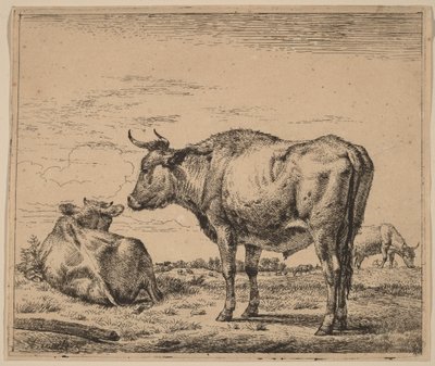 Stehender Bulle von Adriaen van de Velde