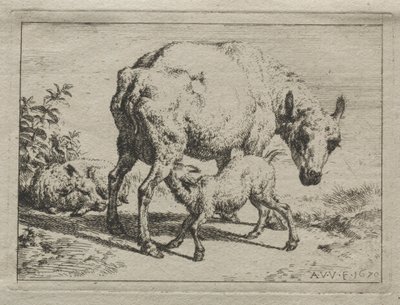 Das Mutterschaf und zwei Lämmer von Adriaen van de Velde