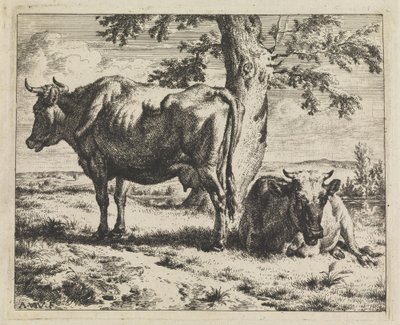 Zwei Kühe unter einem Baum von Adriaen van de Velde