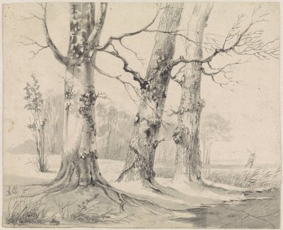 Winterlandschaft von Adrianus Eversen