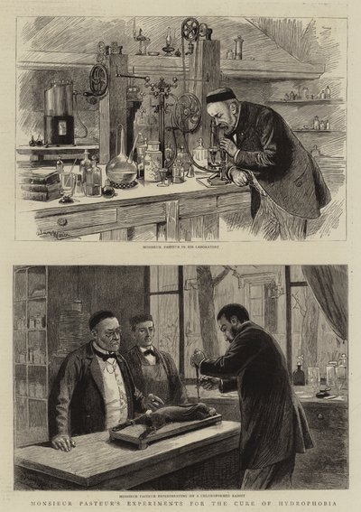 Monsieur Pasteurs Experimente zur Heilung der Tollwut von Adrien Emmanuel Marie