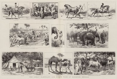 Der große Elefanten- und Pferdemarkt in Sonepur, Bengalen von Adrien Emmanuel Marie