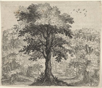 Fabel von der Ulme und der Eiche von Egidius  Sadeler (II)