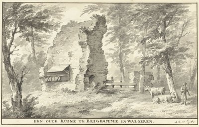 Ruine in Brigdamme auf Walcheren von Aert Schouman