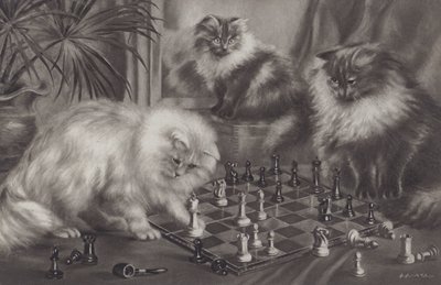 Gruppe von Katzen, die mit Schachfiguren spielen von Agnes Augusta Talboys