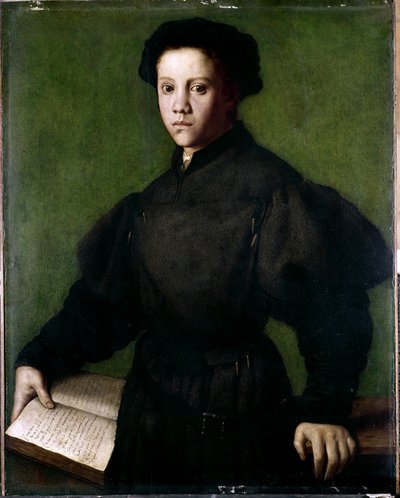 Porträt eines jungen Jungen von Agnolo di Cosimo Bronzino