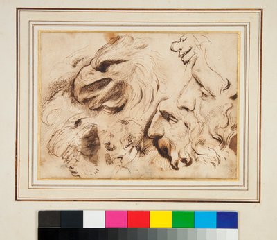 Blatt mit Studien eines Adlerkopfes und Männerprofilen und Karikaturen von Agostino Carracci