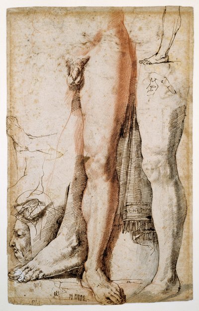 Studien eines linken Beins, einer linken Hand und eines Männerkopfes im Profil von Agostino Carracci