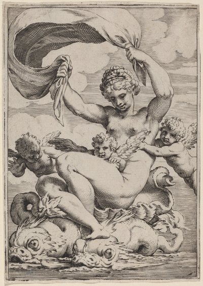 Venus oder Galatea von Delfinen getragen von Agostino Carracci
