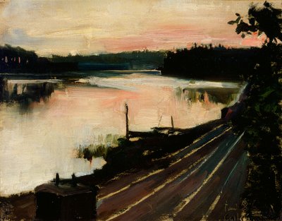 Blick von Eläintarha bei Sonnenuntergang von Akseli Gallen-Kallela