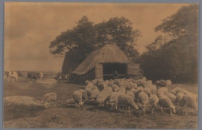 Landschaft mit Schafen, Kühen, Bauer und Schafstall, Niederlande von Alb. Kapteijn
