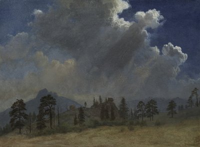 Tannen und Sturmwolken, um 1870 von Albert Bierstadt