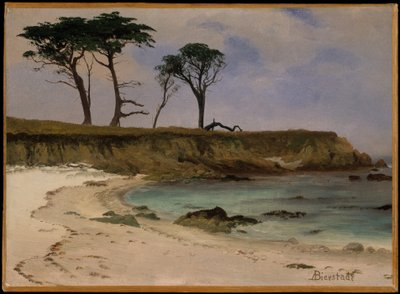 Meeresbucht von Albert Bierstadt