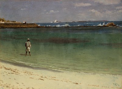 Küstenlandschaft der Westindischen Inseln von Albert Bierstadt