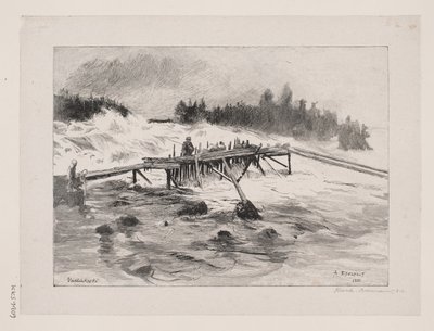 Ein Wasserfall. Vallinkoski von Albert Gustaf Aristides Edelfelt