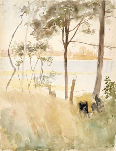  von Albert Edelfelt