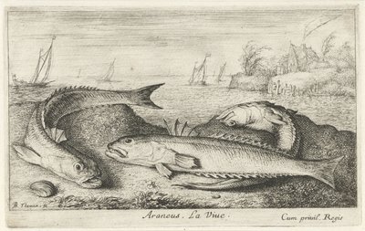 Drei gefleckte Petermännchen am Strand von Albert Flamen