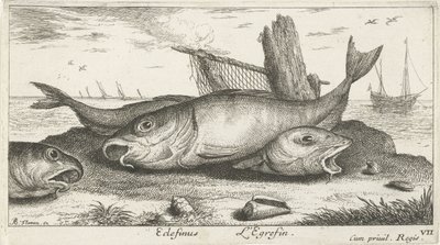 Drei Schellfische am Strand von Albert Flamen