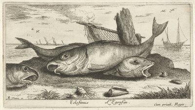 Drei Schellfische am Strand von Albert Flamen