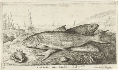 Drei Fische am Strand von Albert Flamen