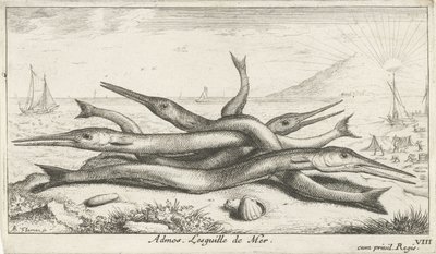 Fische am Strand von Albert Flamen