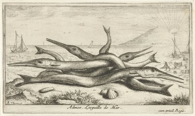 Fische am Strand von Albert Flamen