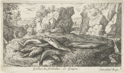 Gründlinge am Flussufer von Albert Flamen
