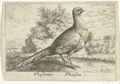 Landschaft mit Fasan von Albert Flamen